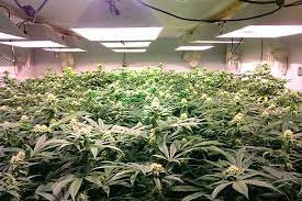 Do grow rooms need to be air tight?